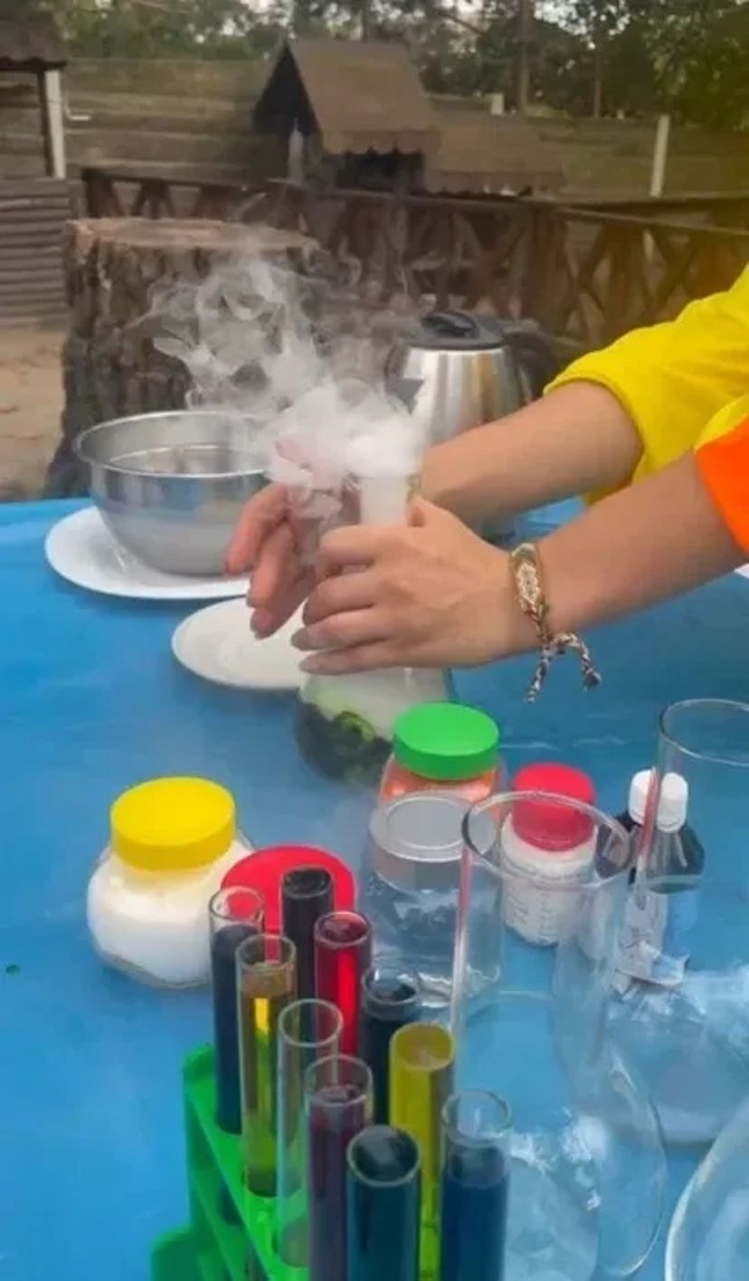 Аніматори Львів, шоу програми, піньяти, наукове шоу