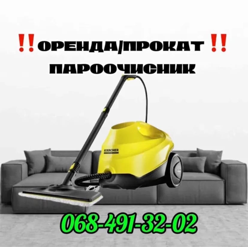 Пароочисник