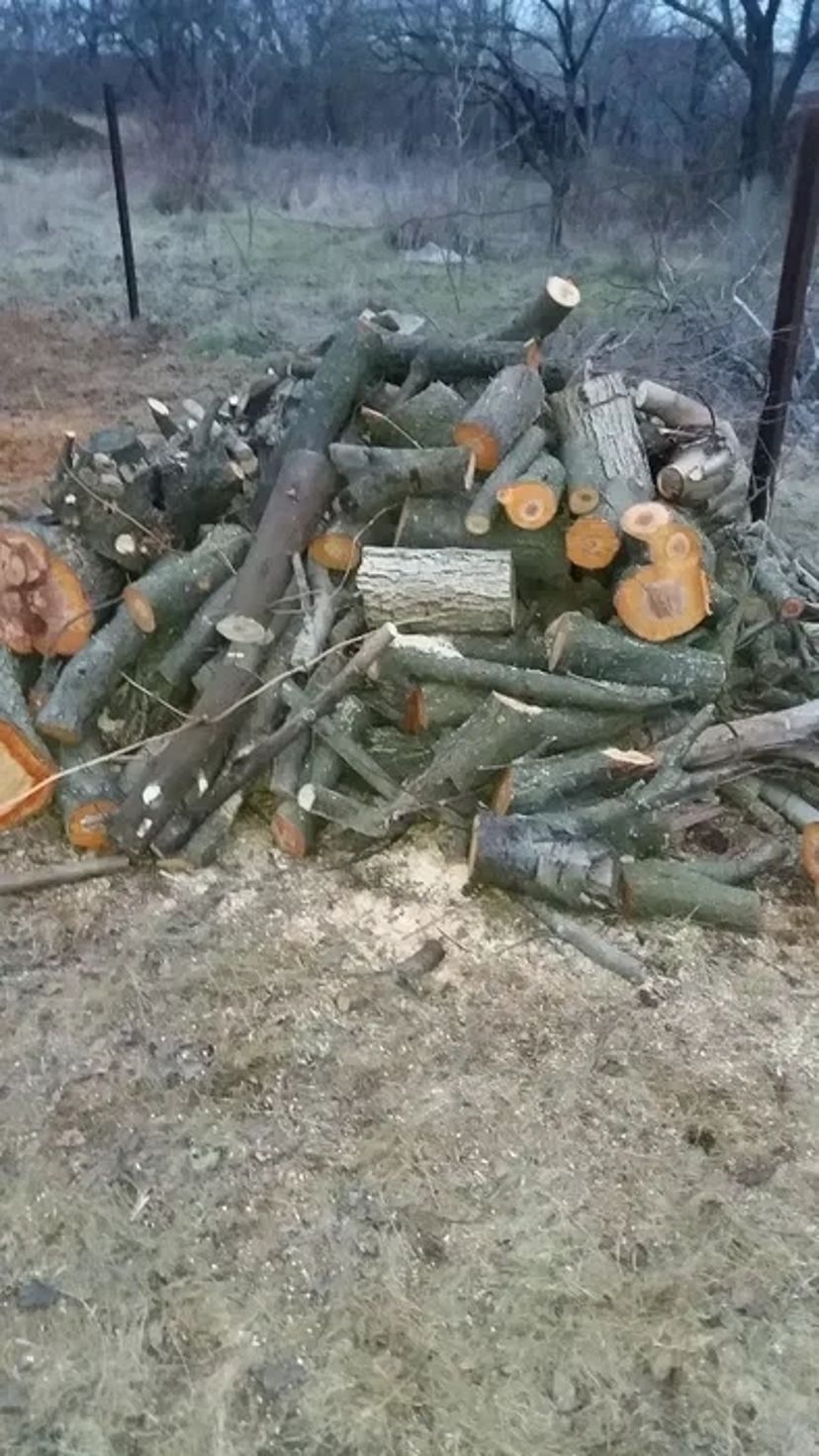 Корчевка пней. Спил деревьев. Удаление, вырезка пней фрезой