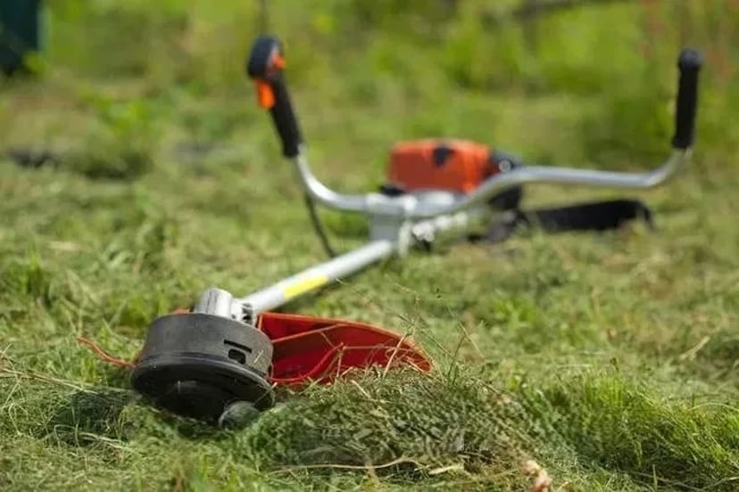 Зачистка ділянок будь якої складності. Культивація мотоблоком