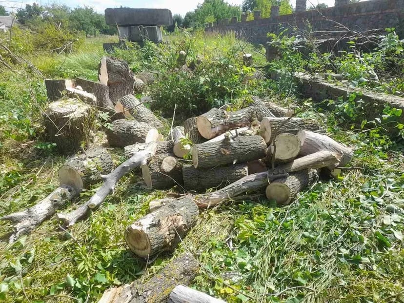 Розчищення ділянки демонтаж валка обрізка дерев корчування екскаватор