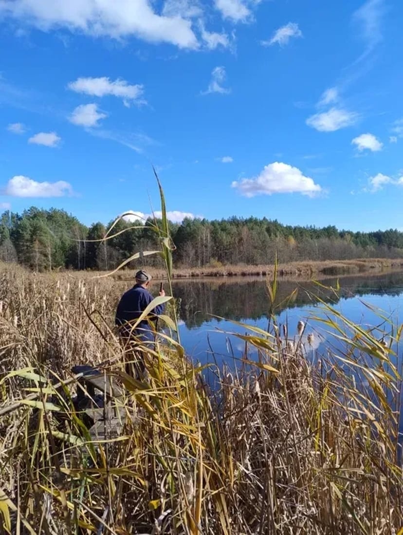 Розчищення ділянки демонтаж валка обрізка дерев корчування екскаватор