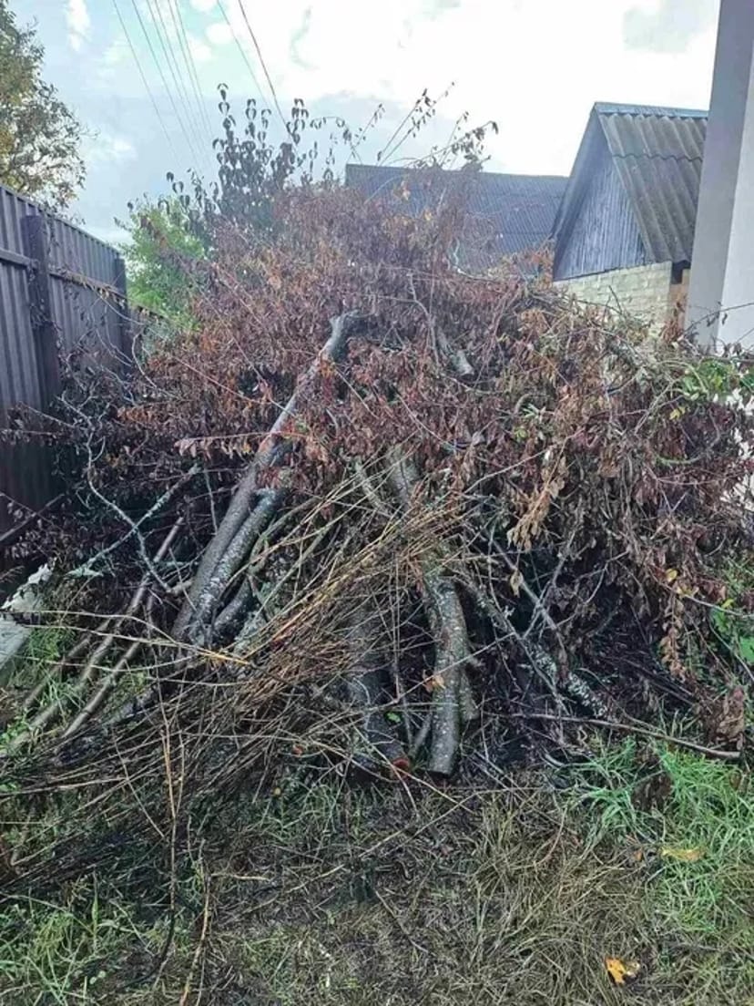 Розчищення ділянки демонтаж валка обрізка дерев корчування екскаватор