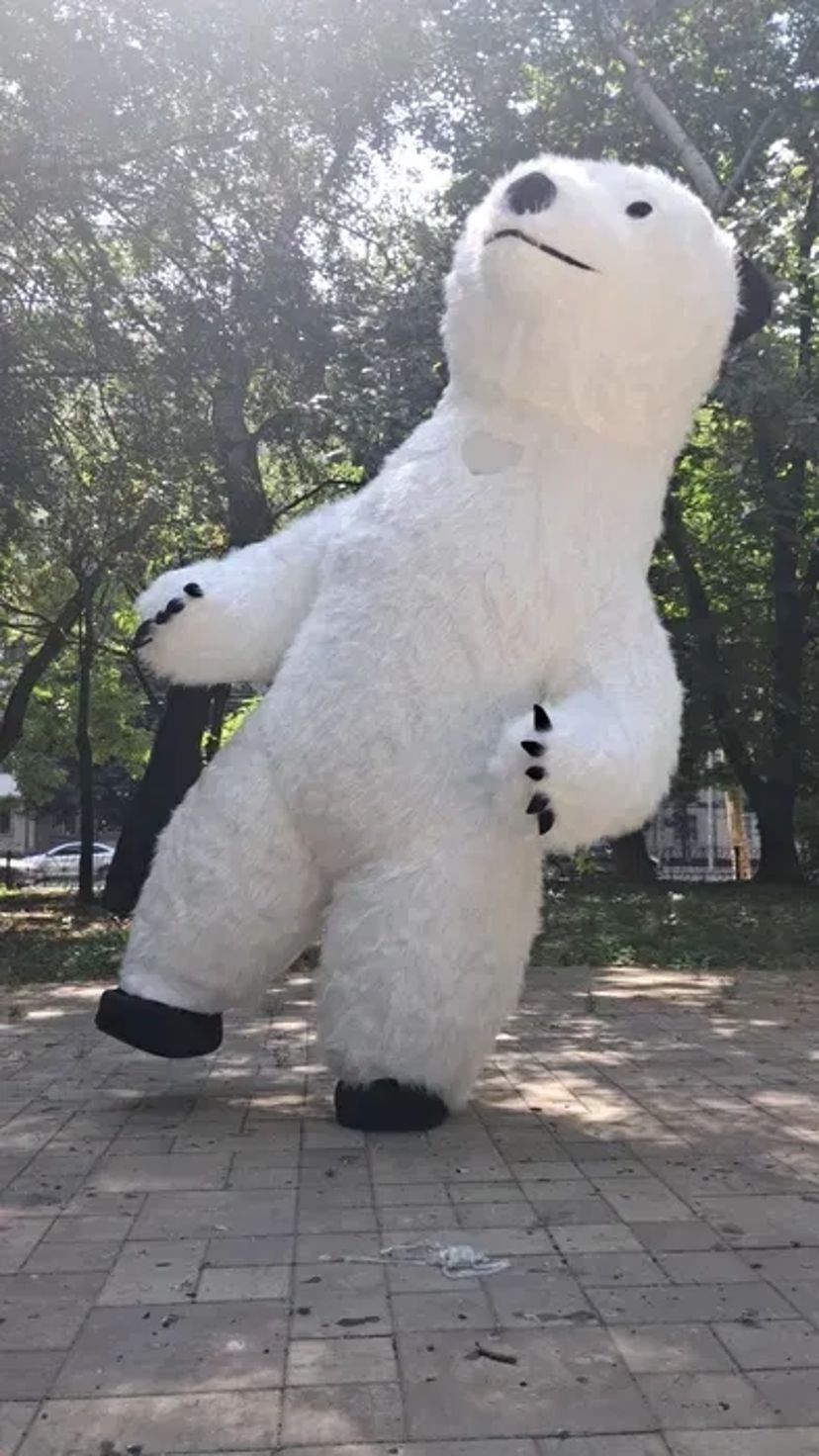 Ведмедик , Панда аніматор, замовити білий ведмедик на день народження