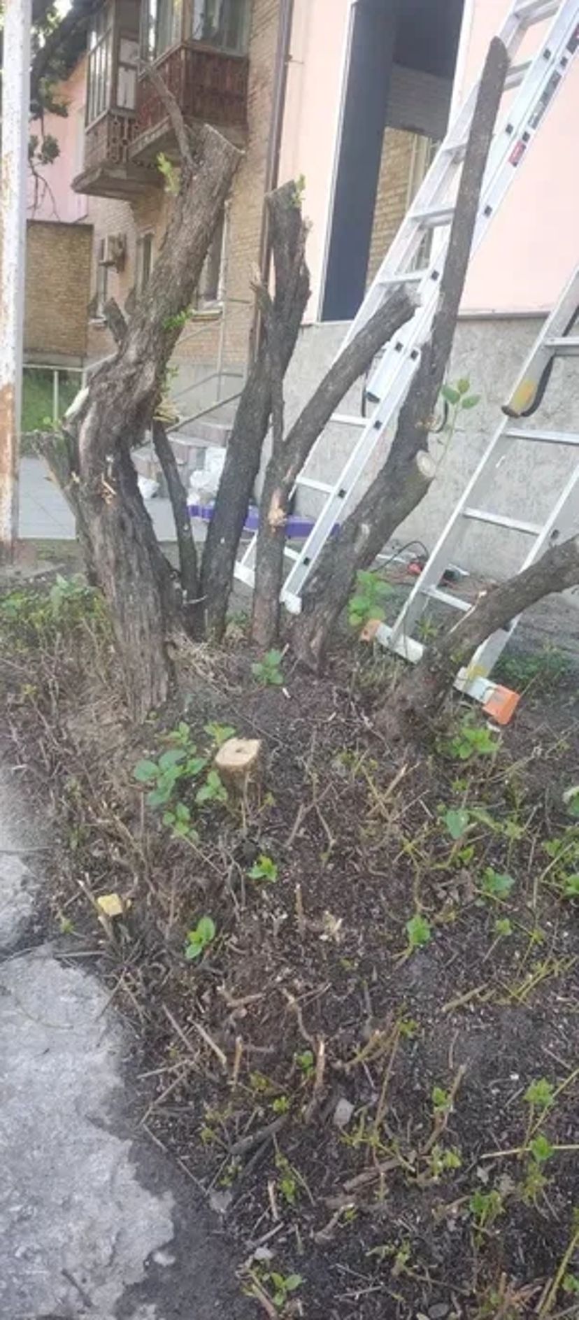 Благоустрій розчистка участка уборка покосити бур'ян зрізати дерево