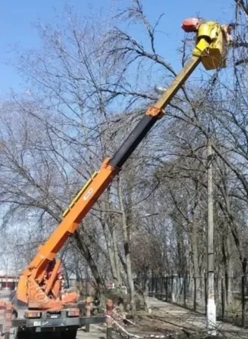 Автовишка для безпечного зрізання дерев