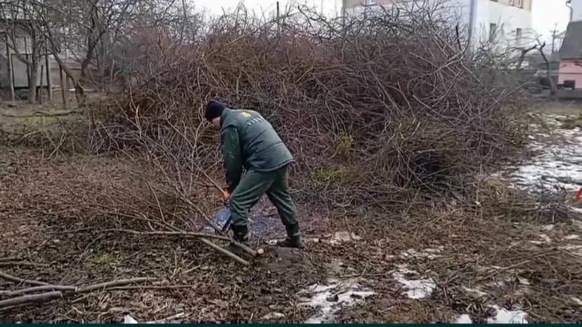 Подрібнювач гілок