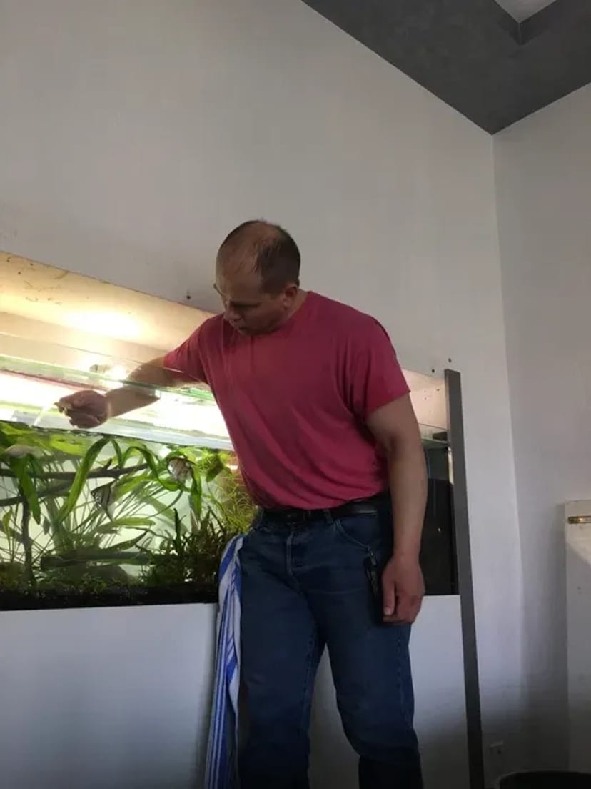 Услуги аквариумиста. Уход за аквариумом. 700 грн. Договірна