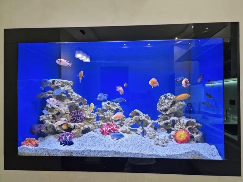 Услуги аквариумиста. Уход за аквариумом. 700 грн. Договірна