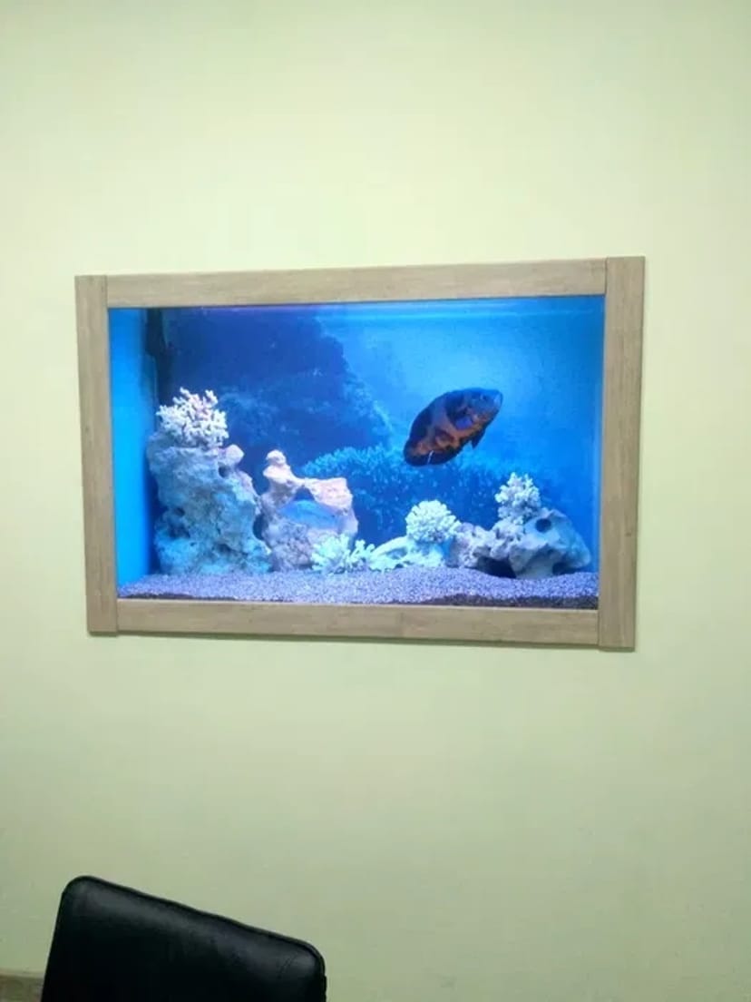 Услуги аквариумиста. Уход за аквариумом. 700 грн. Договірна