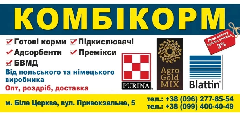 Друк Поліграфії: Візитки, Флаєри, Буклети, Наклейки. Повний Комплекс Послуг та Дизайн!