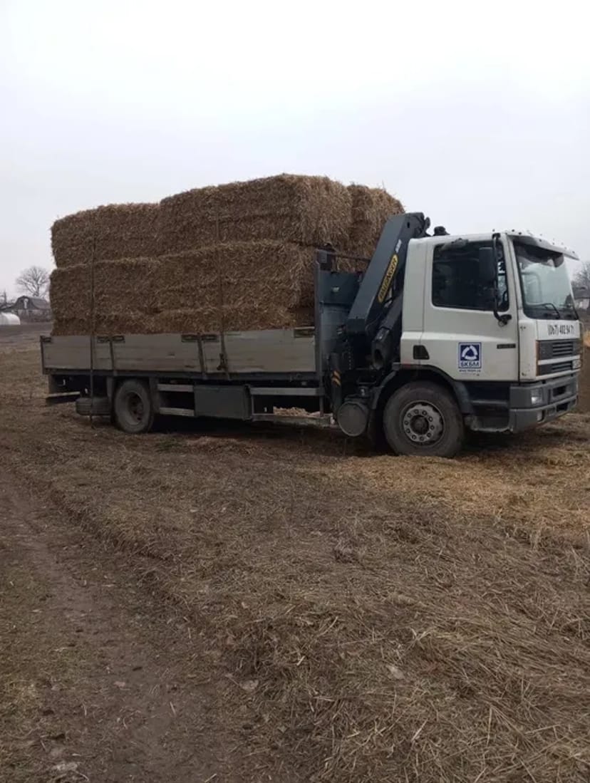 Вантажоперевезення: маніпулятор. Бориспіль, Баришівка, Київ, область