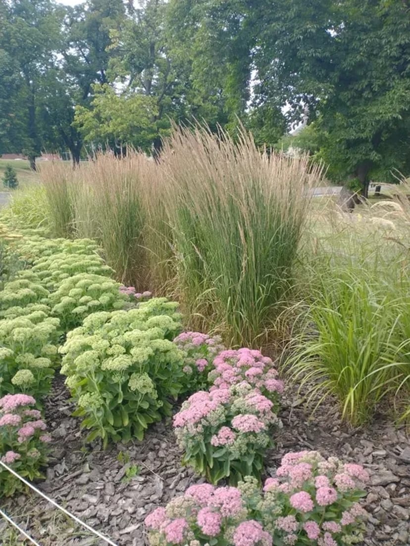 Послуги професійного садівника від 1 500 грн.