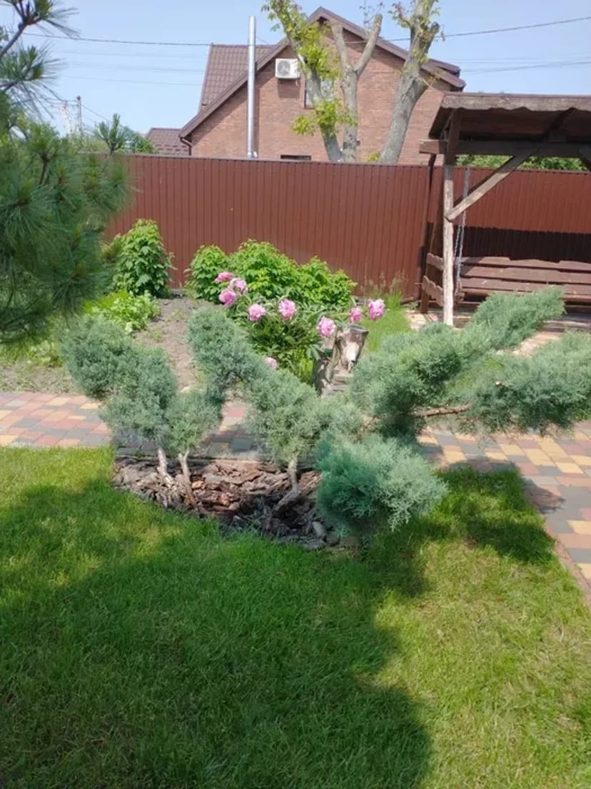 Послуги професійного садівника від 1 500 грн.