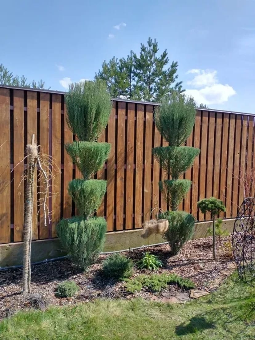 Послуги професійного садівника від 1 500 грн.