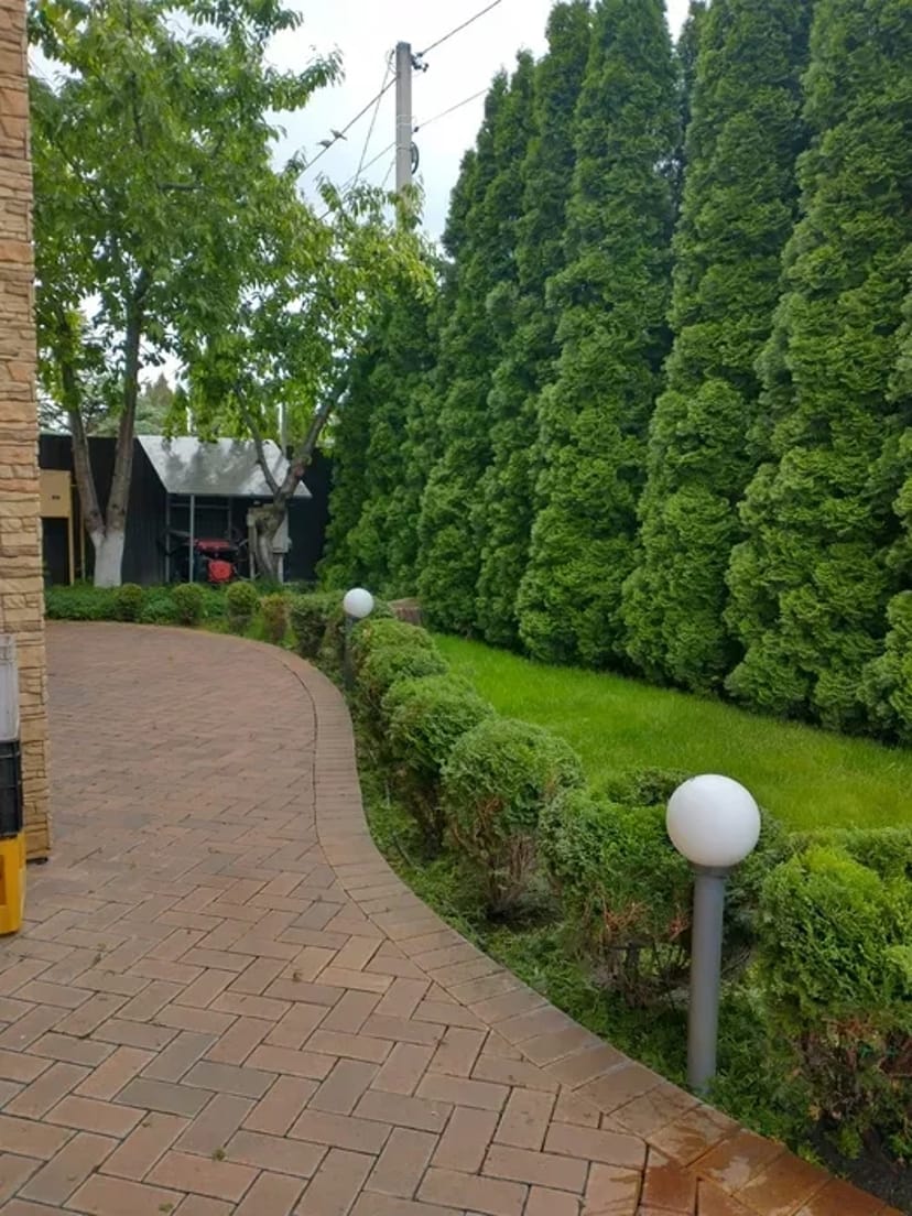 Послуги професійного садівника від 1 500 грн.