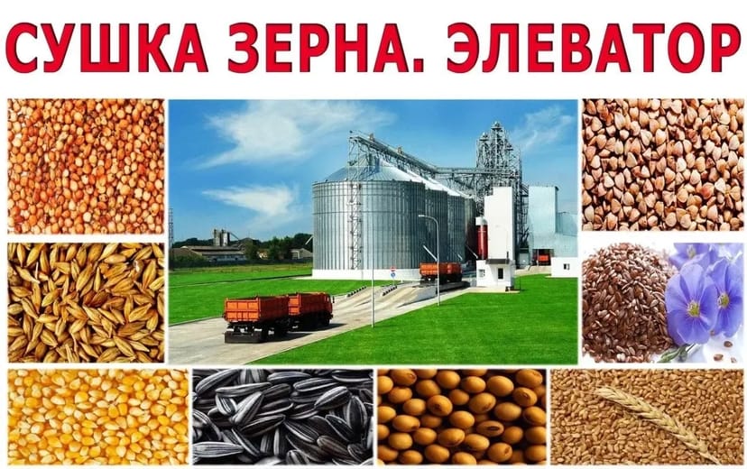 Елеватор, сушіння кукурудзи, сушіння зерна