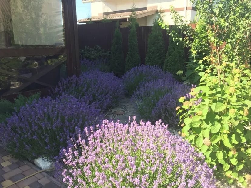 Ландшафтні роботи