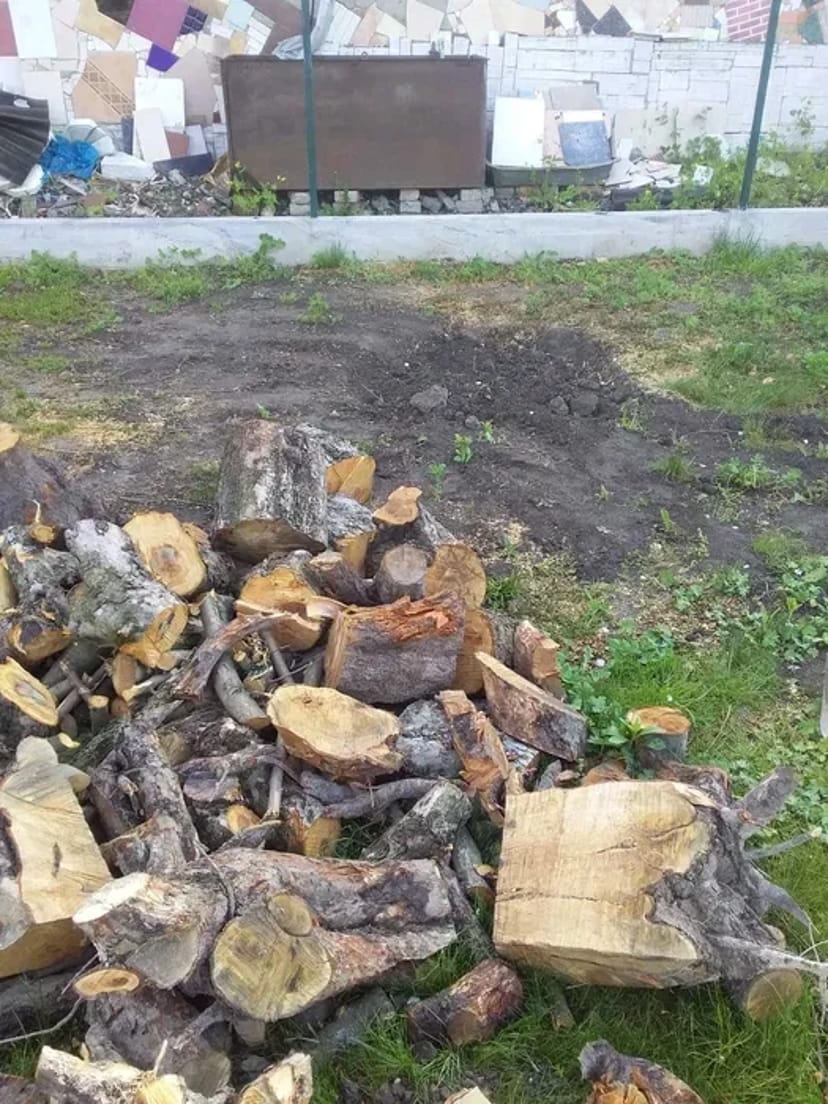 Видалення дерев,кущів,порізка дров,корчування пеньків.