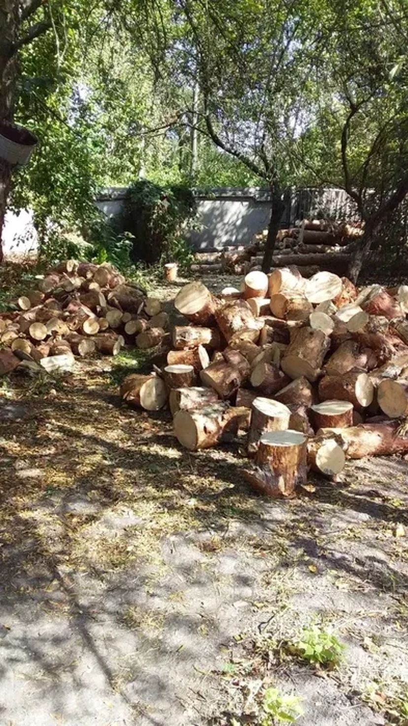 Видалення дерев,кущів,порізка дров,корчування пеньків.