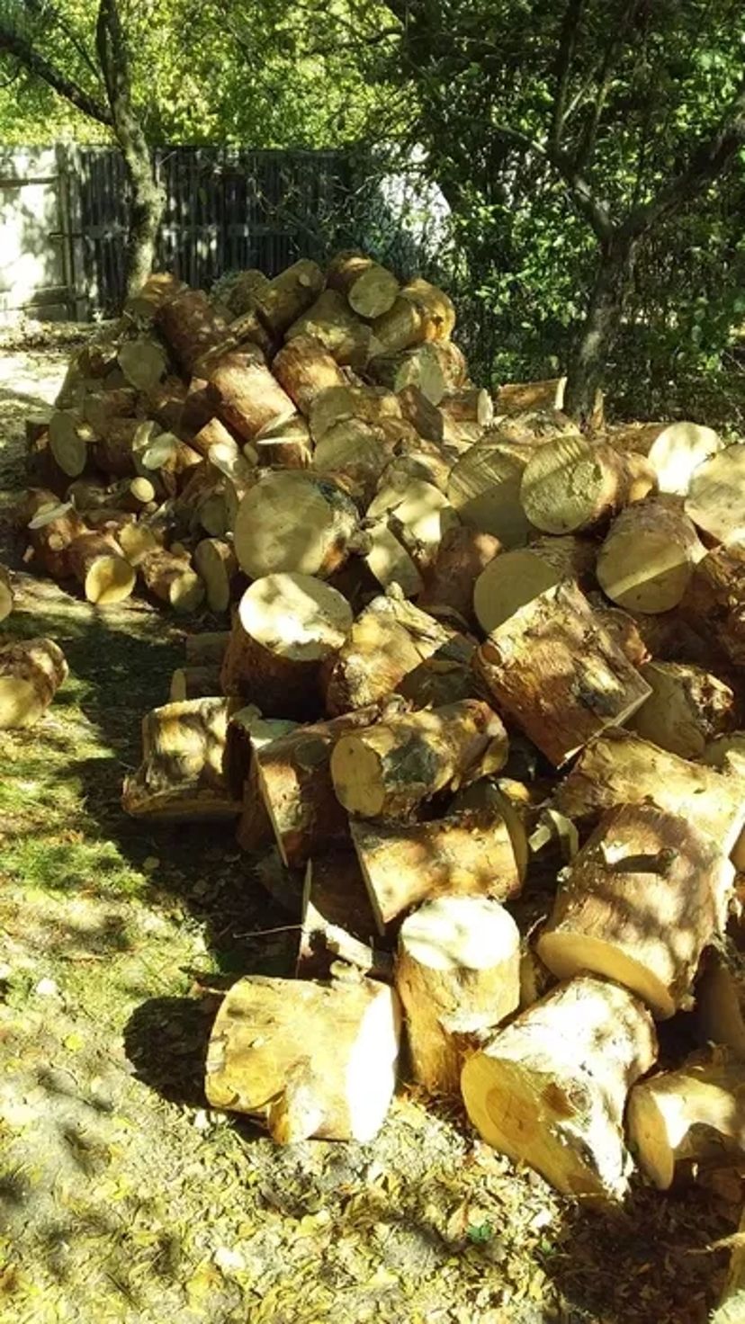 Видалення дерев,кущів,порізка дров,корчування пеньків.