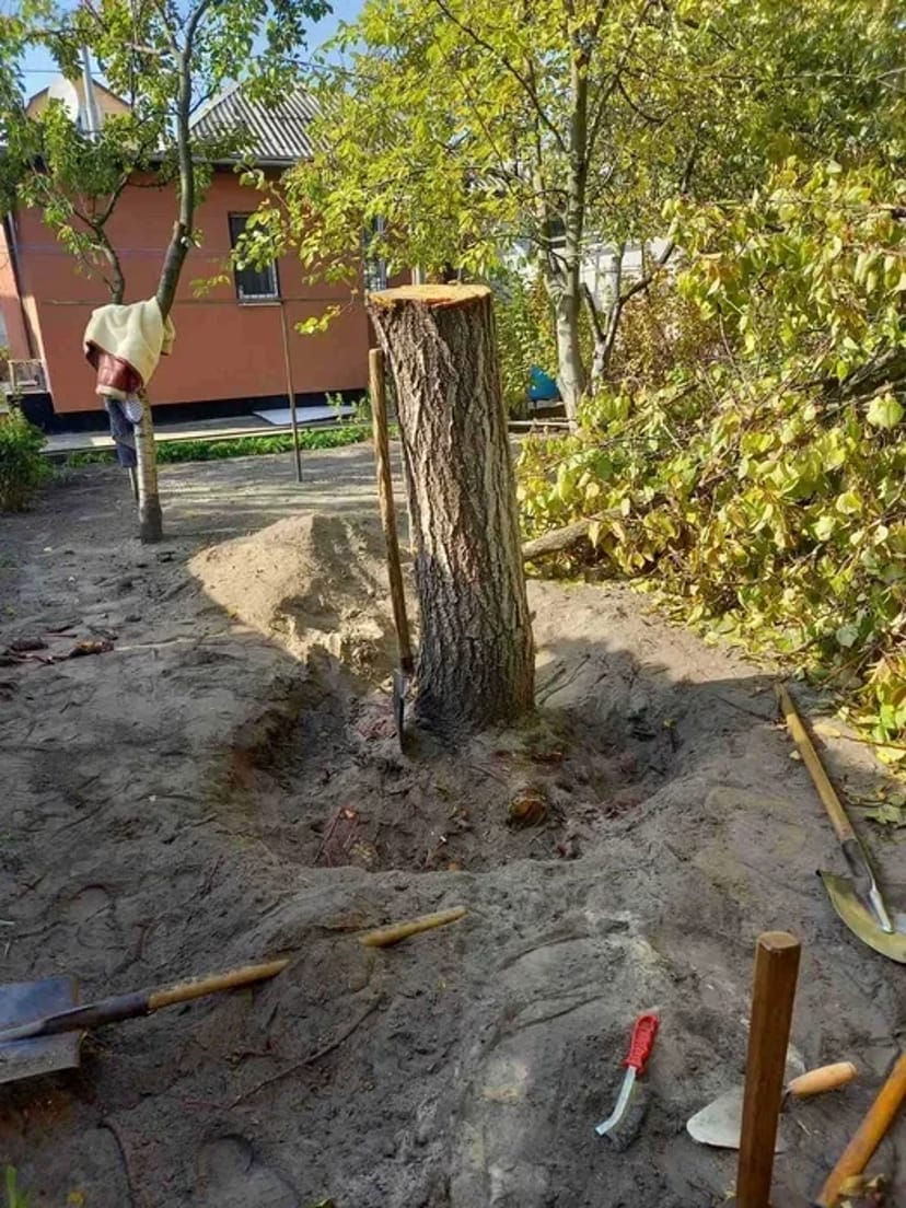 Видалення дерев,кущів,порізка дров,корчування пеньків.