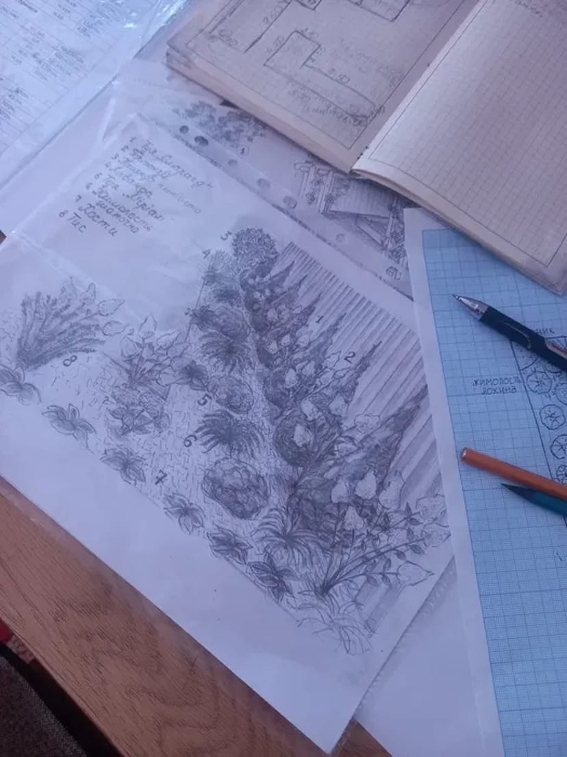 Ескіз ділянки, ландшафтний дизайн, догляд за садом!