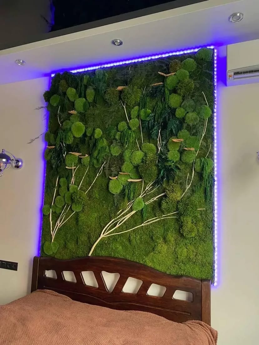 Жива стіна з рослин у вітальню, спальню. Жива композиція із квітів