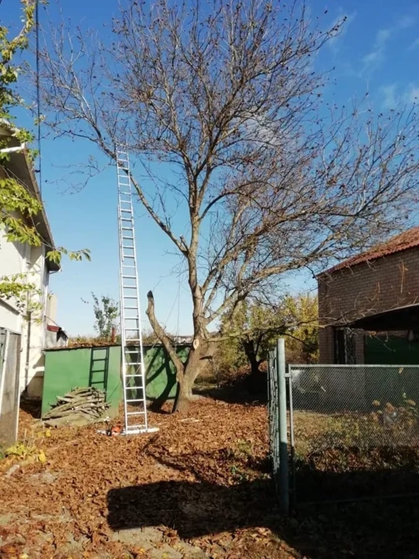 Лестницы 3х14с.10м. 3х12с.8м. Трасформер 5м.