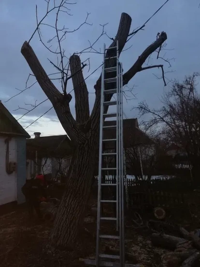 Лестницы 3х14с.10м. 3х12с.8м. Трасформер 5м.