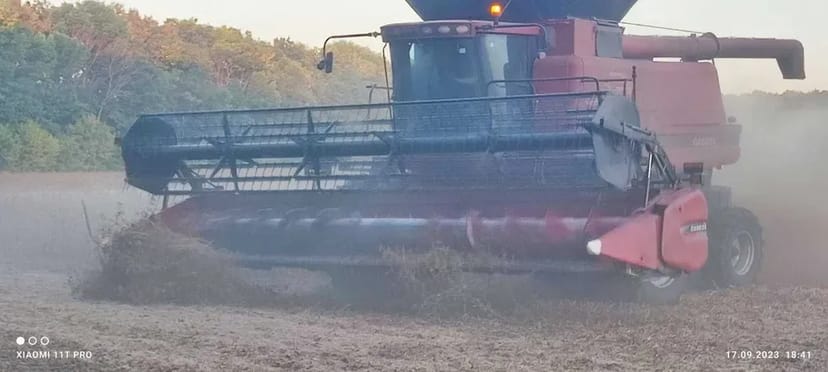 Збирання врожаю пшениці та соняшника