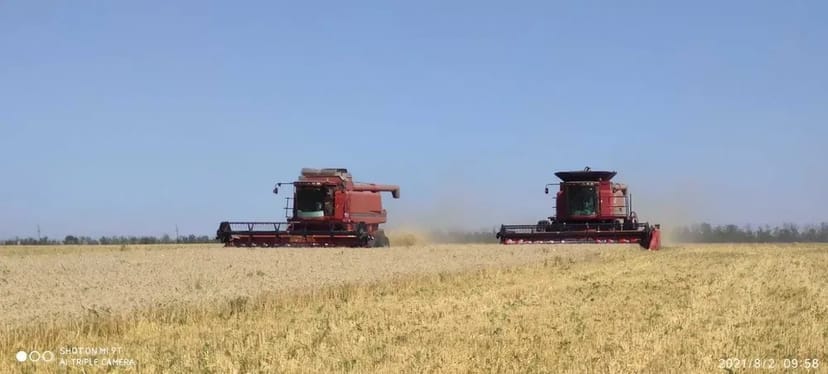 Збирання врожаю пшениці та соняшника