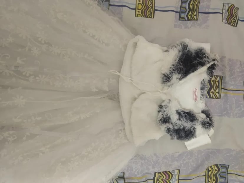 Костюм лисички і плаття сніжинки