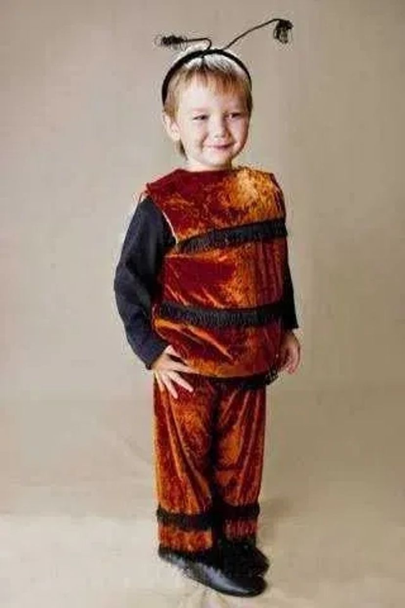 Дитячі костюми Бджілка, Сонечко, Жук, Київ