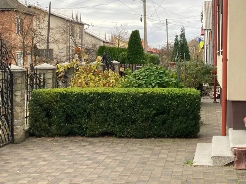 Чистка саду, обрізка дерев, чагарників.