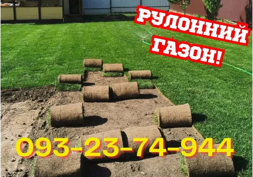 ДОВГОВІЧНИЙ ГАЗОН! Укладка рулонного газону та сіяний під КЛЮЧ!