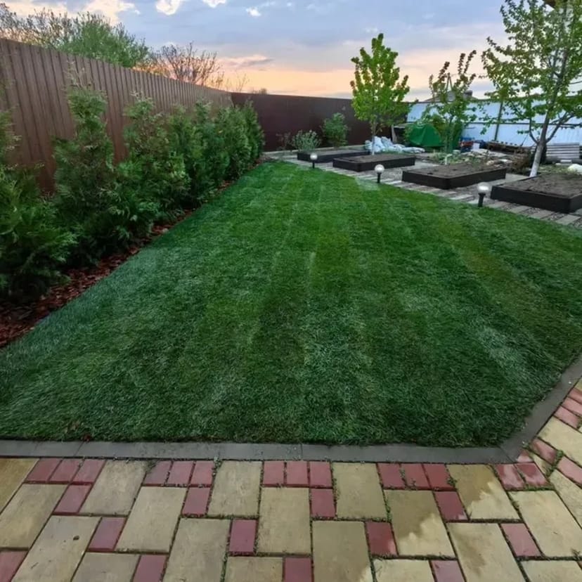 ДОВГОВІЧНИЙ ГАЗОН! Укладка рулонного газону та сіяний під КЛЮЧ!