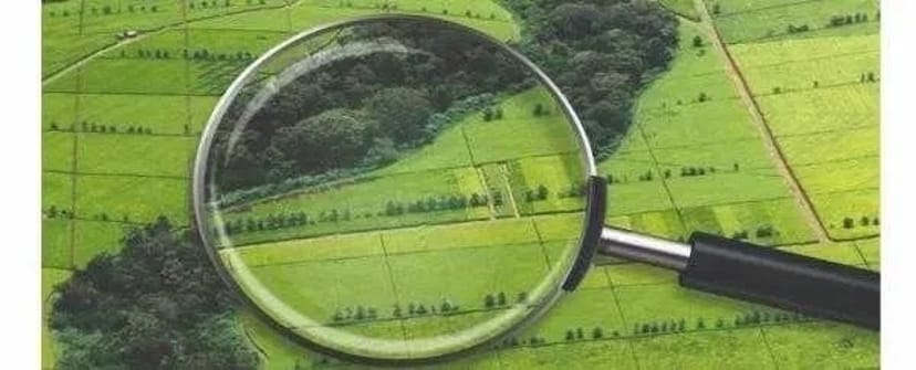 Землевпорядні та геодезичні послуги