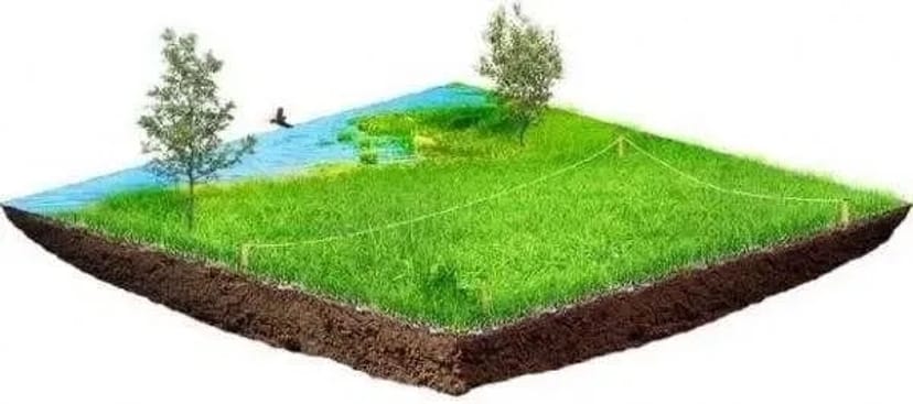 Землевпорядні та геодезичні послуги