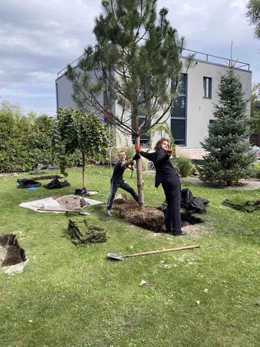 Посадка / Пересадка рослин від 50₴ до 5000₴