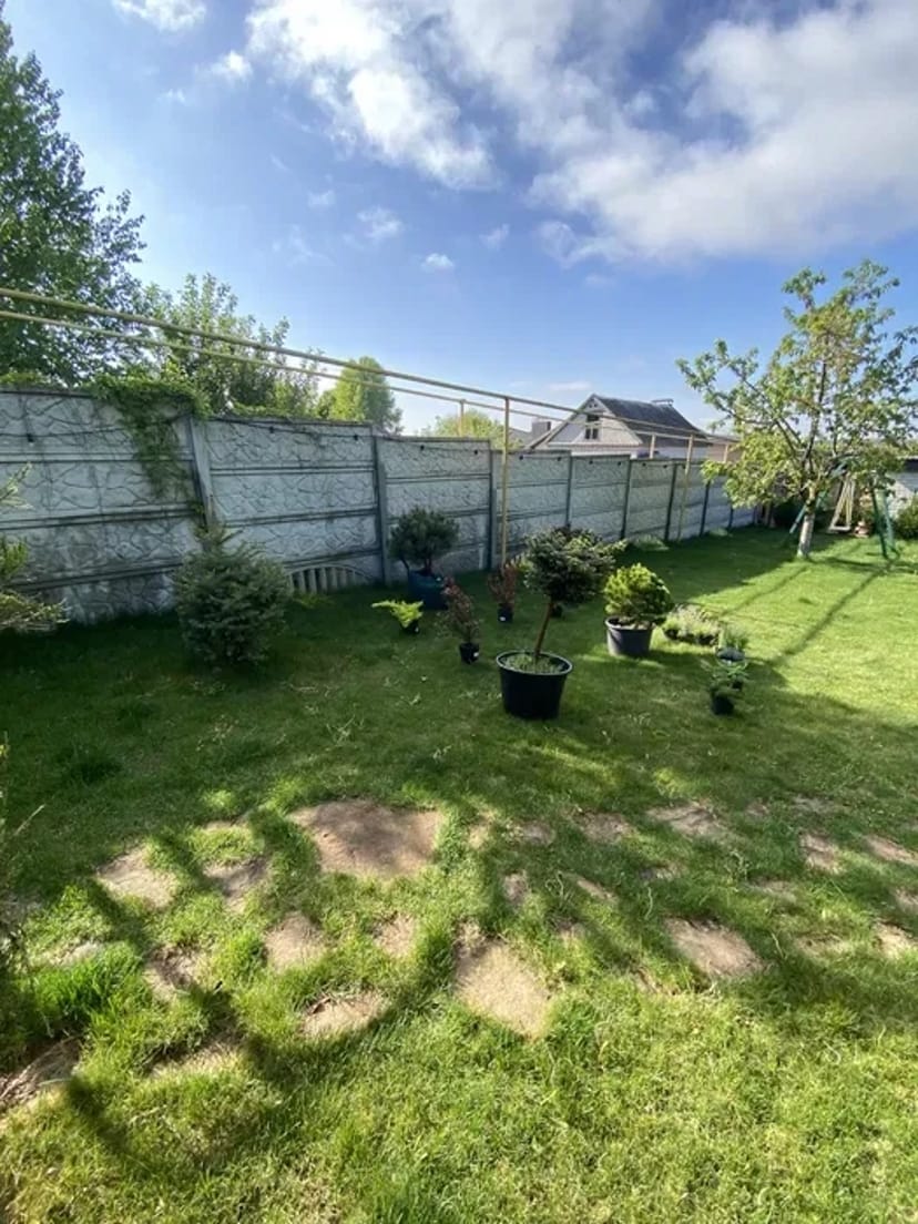 Посадка / Пересадка рослин від 50₴ до 5000₴