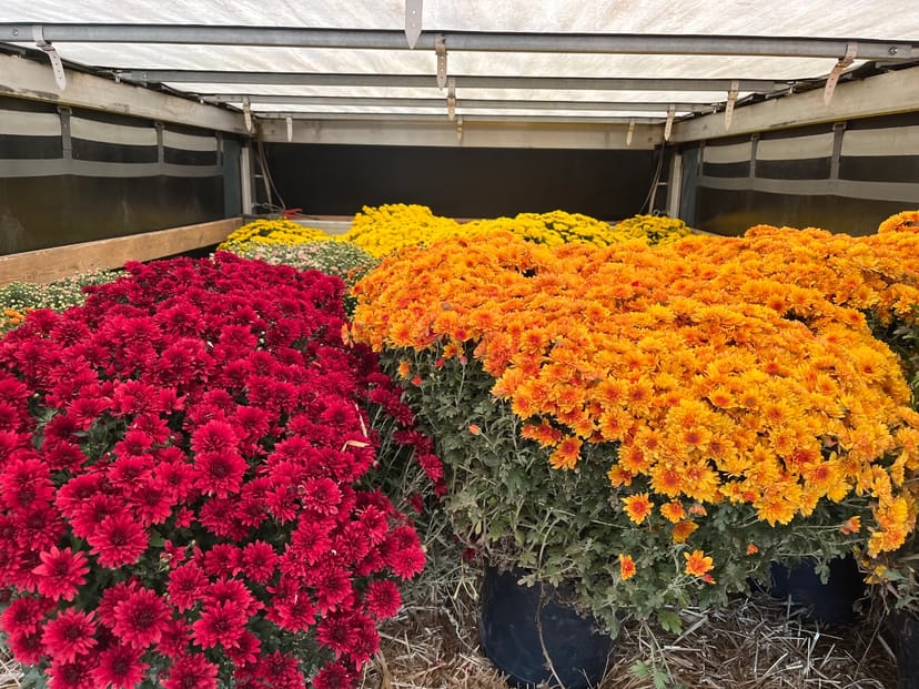 Вантажні перевезення Грузоперевозки Доставка Квартирний переїзд