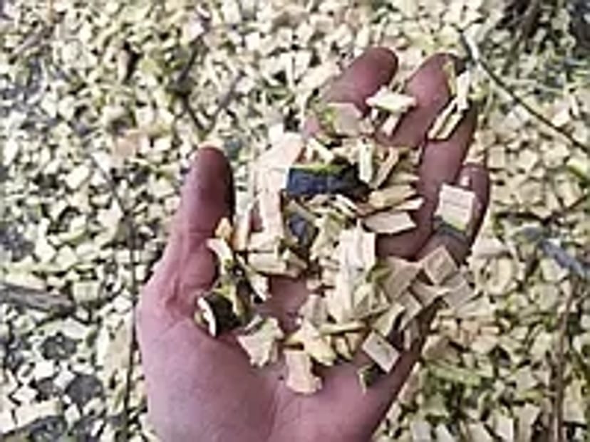 Оренда подрібнювача гілля дерев, щепорізом дробілкою,