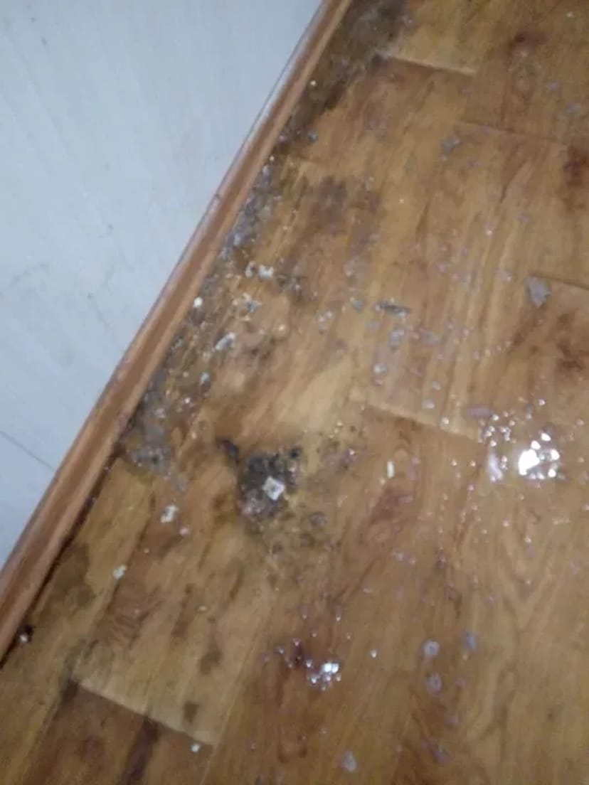 Чи не Фірма Прибирання квартир!