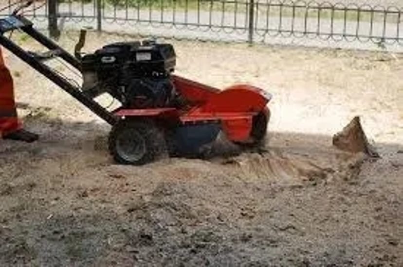 Спил дерев. Обрізання саду. кронування дерев. Викорчувати пень