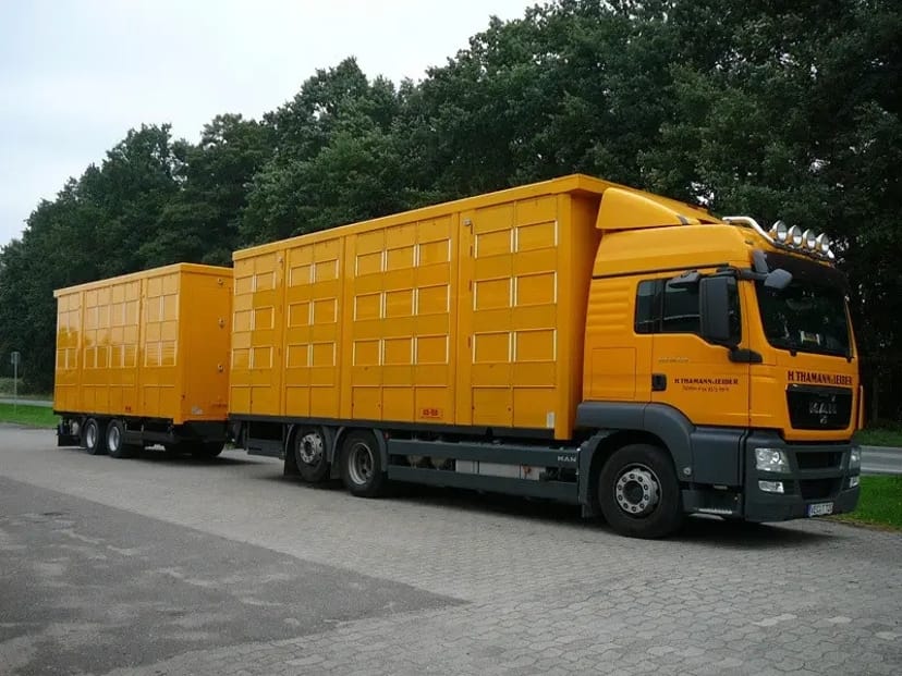 Зерновози на збирання врожаю від 150 ₴/т