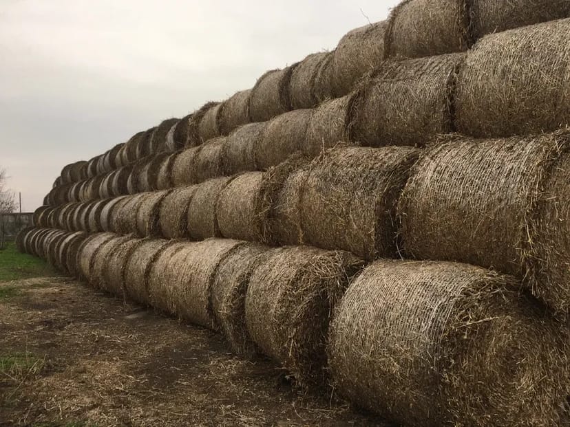 Виготовляємо лінію гранулювання на базі гранулятора ОГМ-1.5