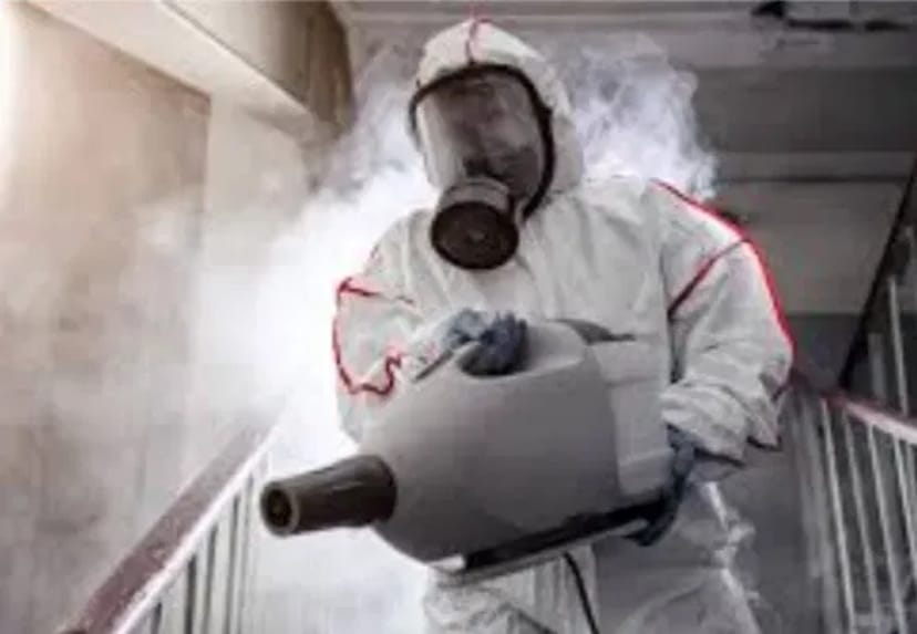 Ефективна травля тарганів у квартирах, будинках та приміщеннях