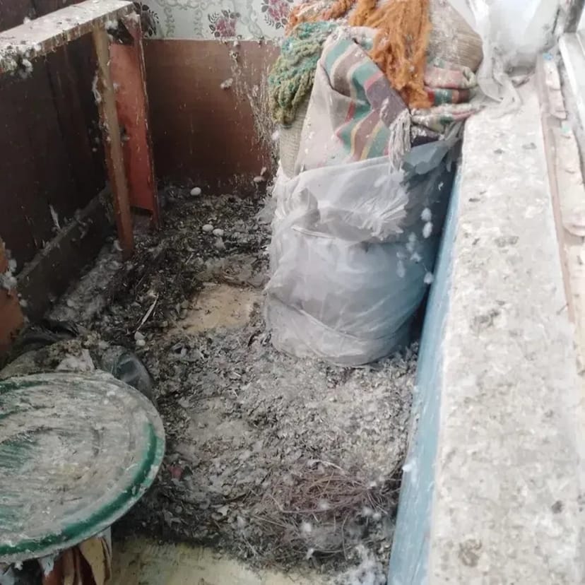 Прибирання квартир, будинків, офісу, складські приміщення