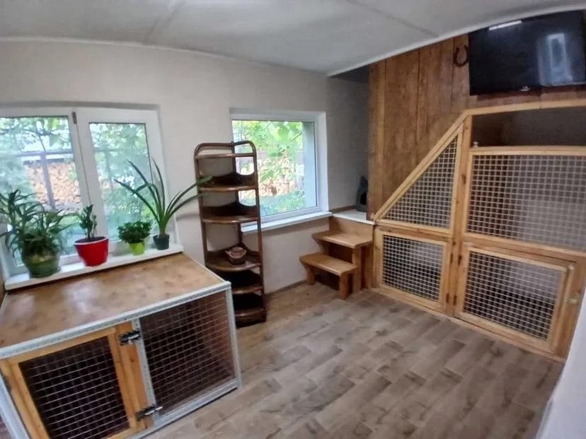 Домашній готель для собак Villa Esenia. Найкраще місце для ваших улюбленців.